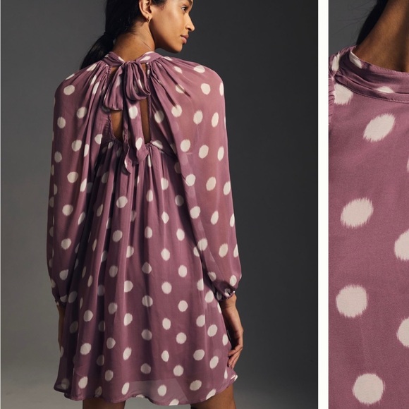 Sold .Anthropologie long sleeve Sheer Dress NWT - Picture 3 of 16